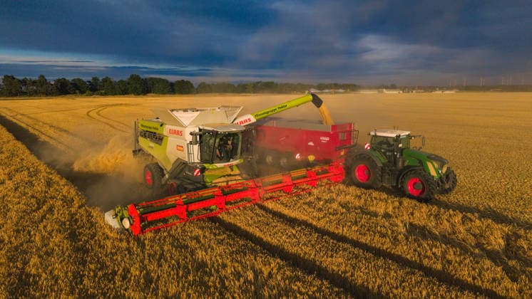Brandenburg, barley harvest in a field near Pasewalk