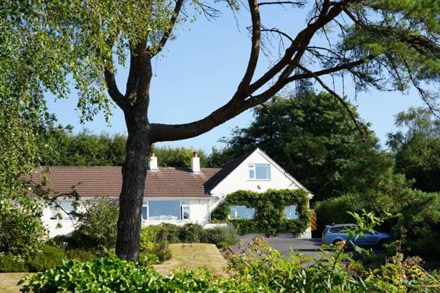 UK: Murder investigation following the death of Ann Widdecombe in Haytor