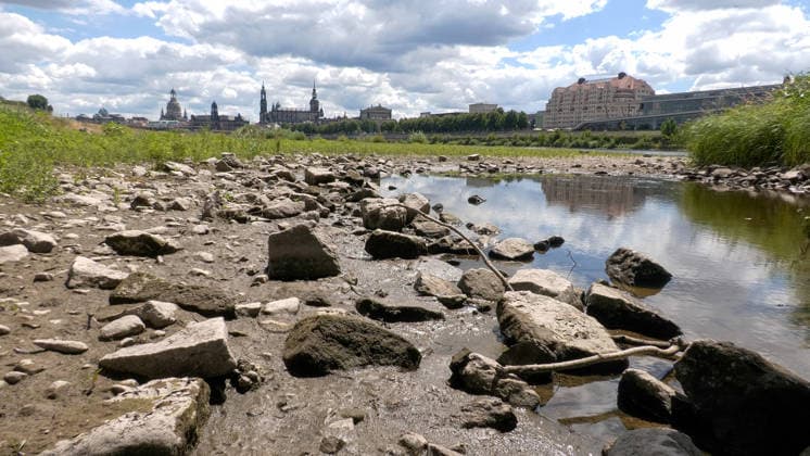 Saxony: Low water levels disrupt steamboat services in Dresden