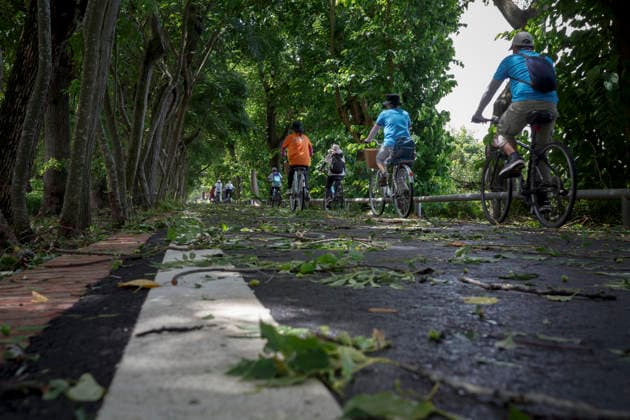 Taiwan, the impact of Typhoon Bavi