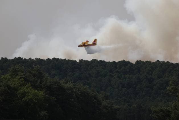 France, forest fire in Fontainebleau