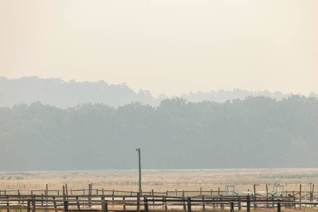 France, forest fires in Seine-et-Marne