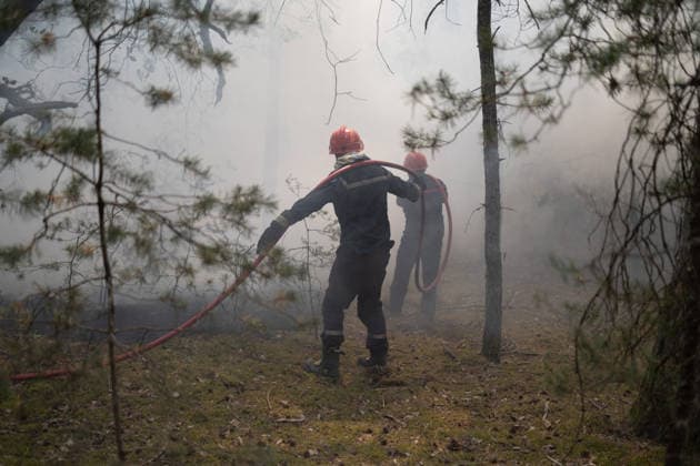 France, forest fire in Noisy-sur-Ecole