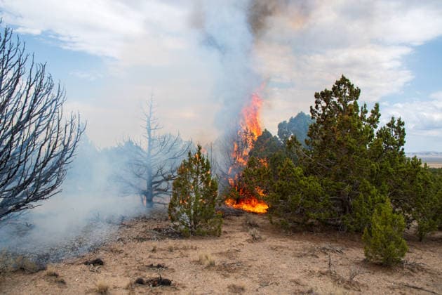 USA, wildfires in Vernon, Utah