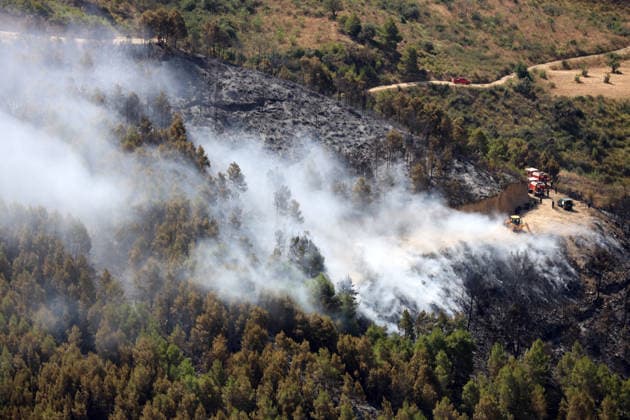 Algeria, forest fires