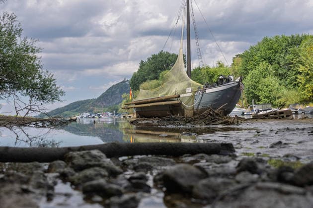 North Rhine-Westphalia: Low water levels on the Rhine at Bad Honnef