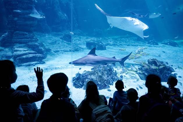 France, Nausicaa Aquarium in Boulogne