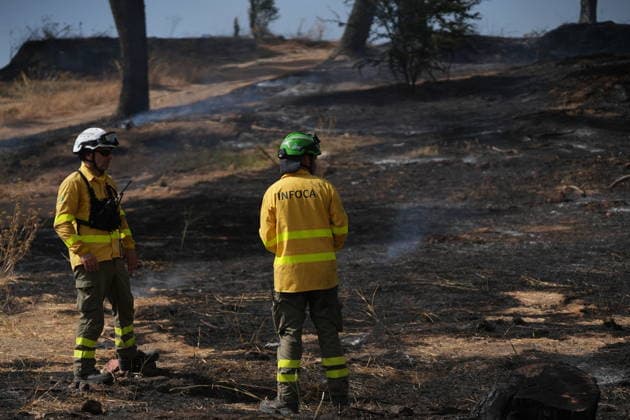 Spain, wildfire near Camas in Seville