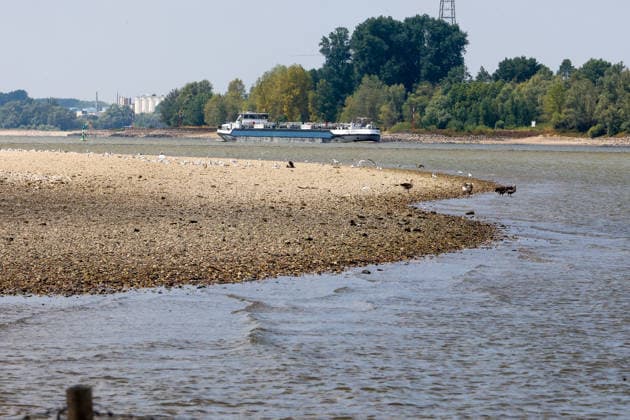 North Rhine-Westphalia, drought and low water levels on the Rhine in Emmerich