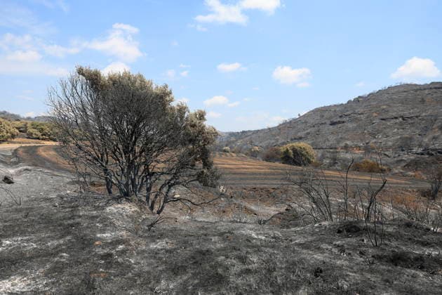 Spain: Damage caused by forest fires near Zaragoza