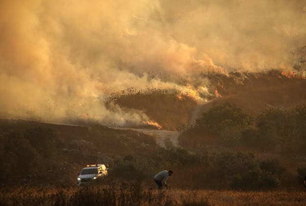 Middle East conflict, West Bank, fields belonging to Palestinian farmers near Nablus, believed to have been set alight