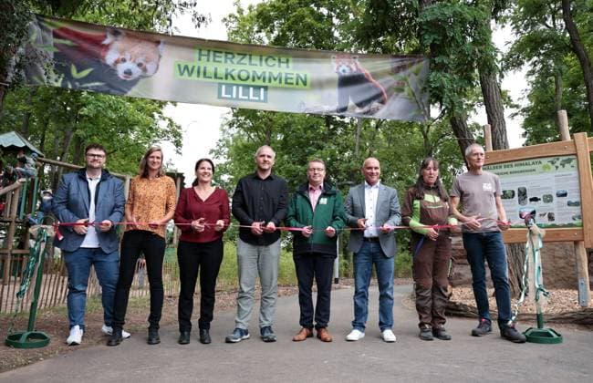Thuringia: Opening of the new enclosure for red pandas and porcupines at Erfurt Zoo