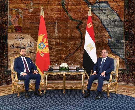 Egypt: Abdel Fattah al-Sisi welcomes Jakov Milatovic in Cairo