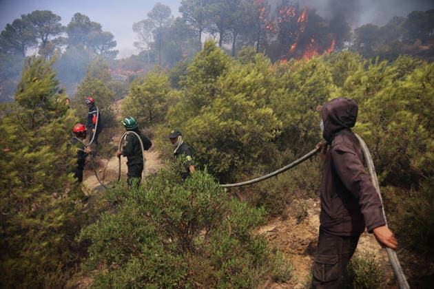 Algeria, forest fire in Bouira