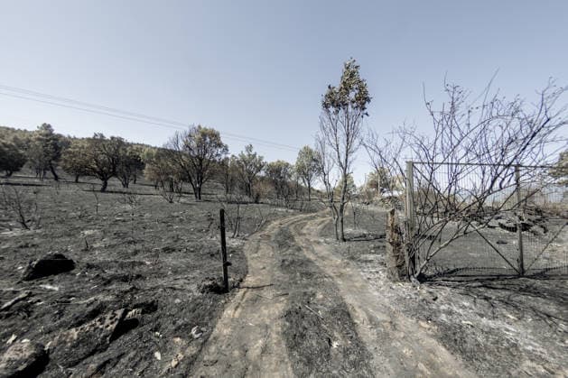 Spain, forest fire near Lozoyuela, Madrid