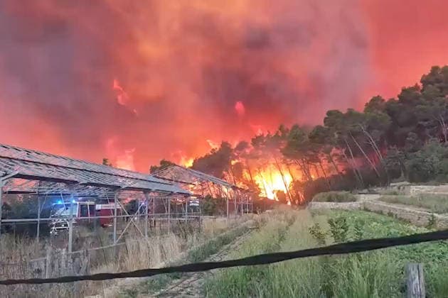 France: Forest fires in the south-east of the country