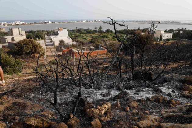 Tunisia, forest fires near Bizerte