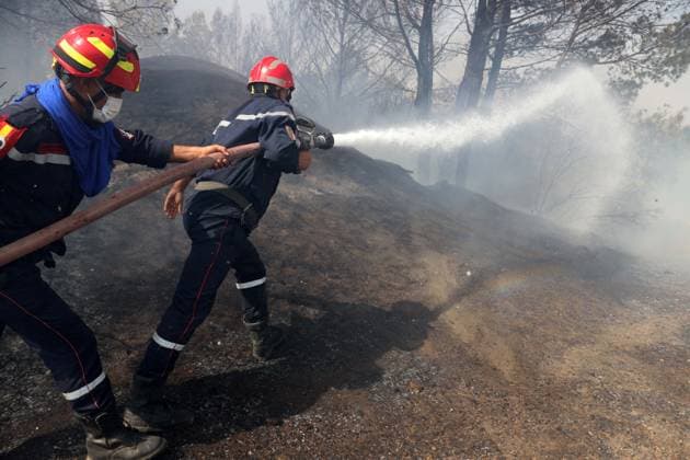 Algeria, forest fire near Bouira