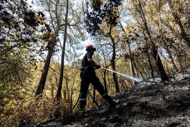 France: Forest fires in the south-east of the country