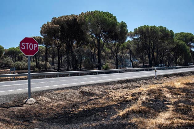 Spain. Damage caused by a forest fire in Ávila