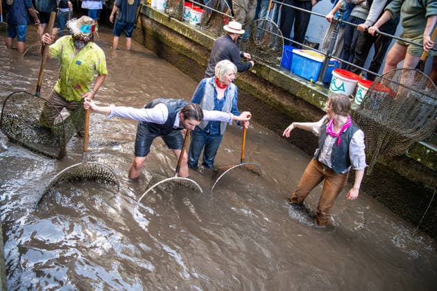 Bavaria, Fishermen’s Day in Memmingen
