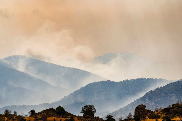 Forest fires in Spain: impressions from Castile and León