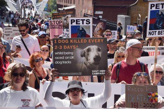 England: Demonstration in London calling for a ban on dog racing