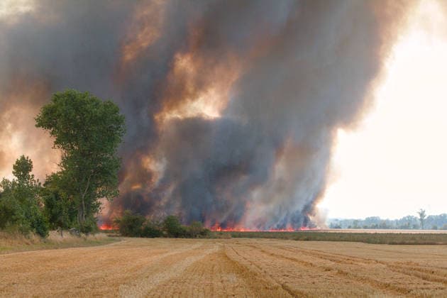 Saxony-Anhalt, Field fire near Zörbig