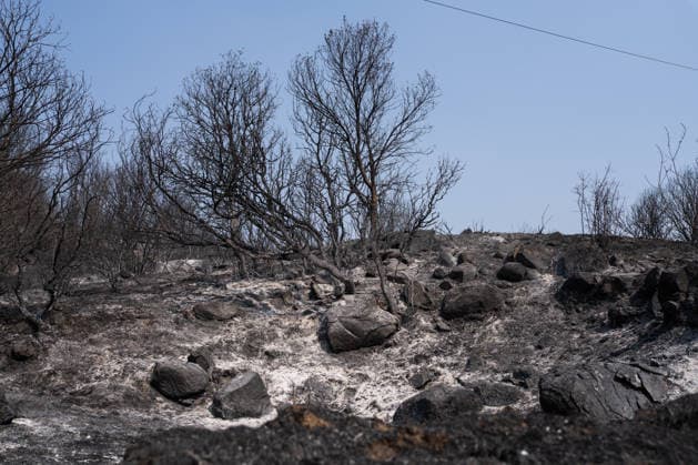Spain: Damage caused by forest fires in the Madrid region