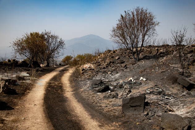 Spain: Damage caused by forest fires in the province of Ávila