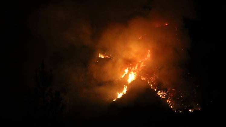 Turkey, forest fire near Antalya