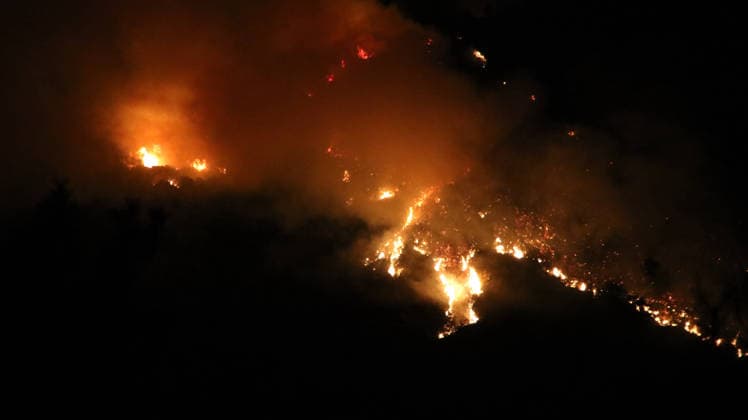 Turkey, forest fires in the Kas district