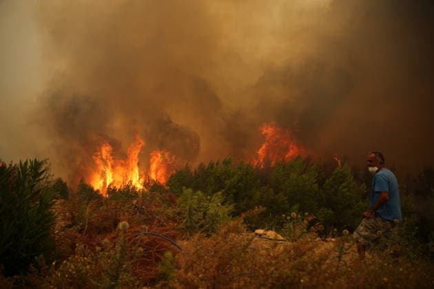 Turkey, forest fires in the Mugla district