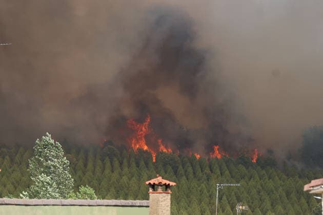 Forest fires in Spain: impressions from Castile and León