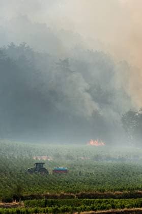 France, forest fires in the Côte-d’Or department