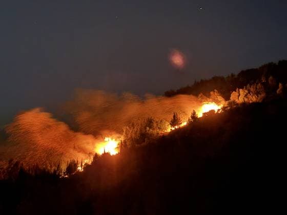 Turkey, forest fires in Izmir