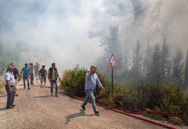 Turkey: Forest fires in various regions