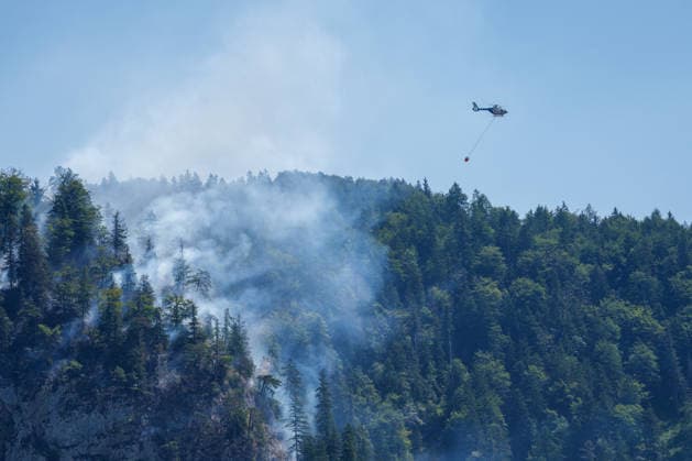 Bavaria, forest fire in Oberwössen