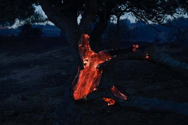 News: Pictures of the Day