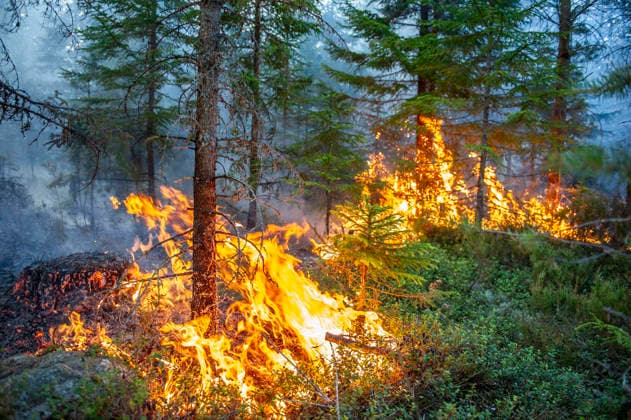 Sweden, forest fire in Skinnskatteberg