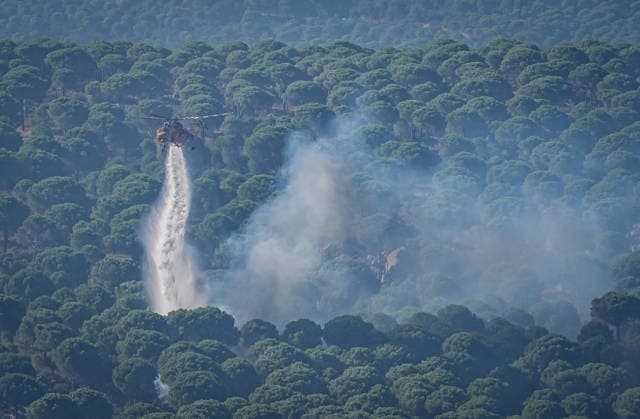 Turkey, forest fires in Balikesir