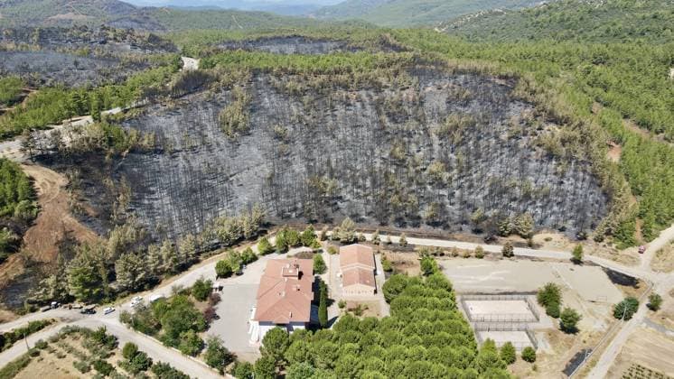 Turkey: Damage caused by forest fires in Muğla