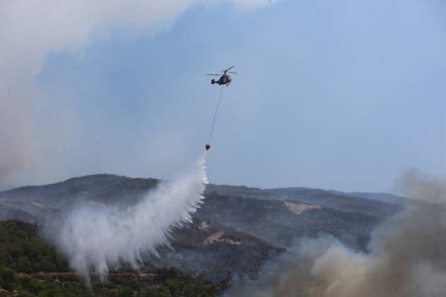 Turkey, forest fires in Aydın