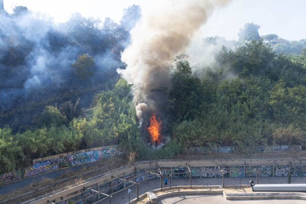 Italy, forest fire near Rome