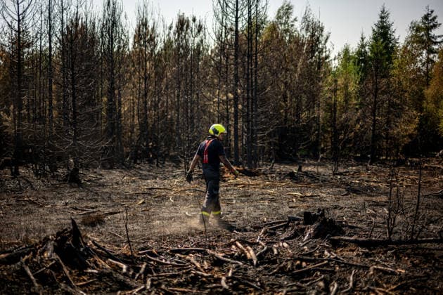 Czech Republic, forest fires in Vetrkovice
