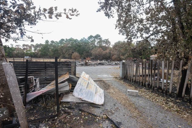 France: Impressions following the fires in Gironde