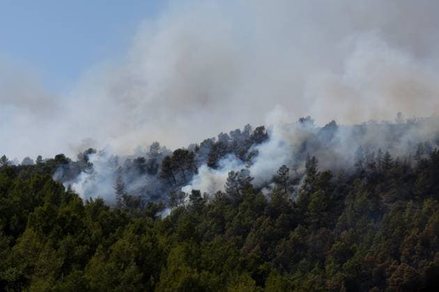 France, forest fires in the Var department