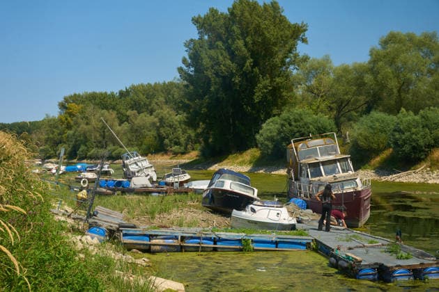 Rhineland-Palatinate, Low water levels in the Rhine at Nackenheim