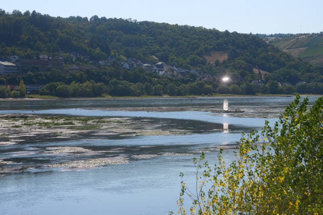 Hesse, Rhine – Low water levels in Lorch on the Rhine