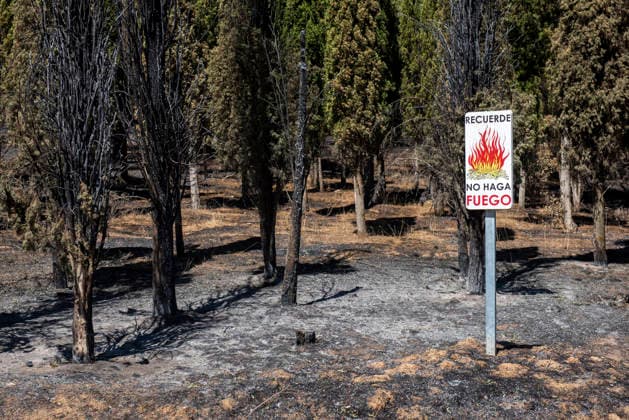 Spain, following the forest fire in the Sierra Oeste near Madrid